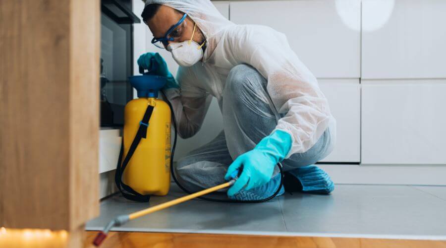 Professional pest control services in Grass Valley